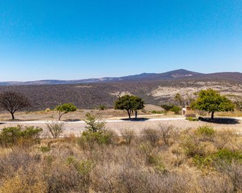 Lote Viñedo San Miguel – San Miguel de Allende real estate photo 3