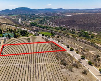 Lote Viñedo San Miguel – San Miguel de Allende real estate photo 2