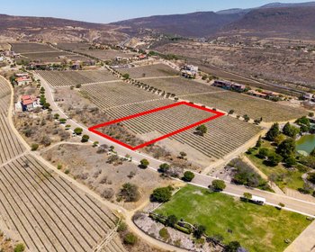 Lote Viñedo San Miguel – San Miguel de Allende real estate photo 4