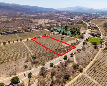 Lote Viñedo San Miguel – San Miguel de Allende real estate photo 3