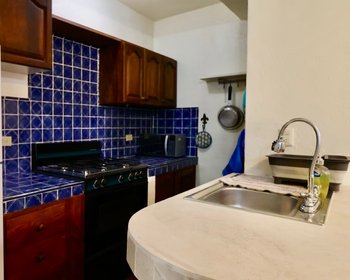 Casa Independencia – San Miguel de Allende real estate photo 3