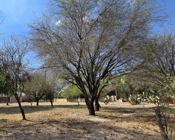 Lot for Sale in Los Labradores, San Miguel de Allende  – San Miguel de Allende real estate photo 3