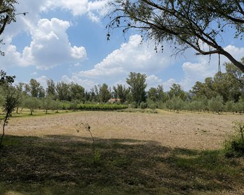 Lote Viñedo San Lucas – San Miguel de Allende real estate photo 3