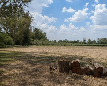 Lote Viñedo San Lucas – San Miguel de Allende real estate photo 4