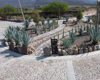 Lote La Gota – San Miguel de Allende real estate photo 2