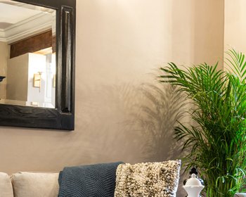 Casa Mimosa – San Miguel de Allende real estate photo 3