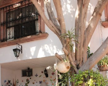 Casa Madera – San Miguel de Allende real estate photo 4
