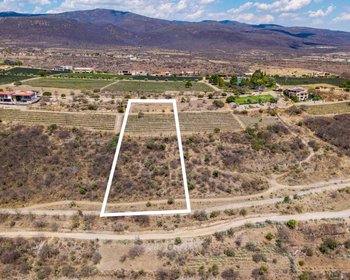 LOTE MERLOT – San Miguel de Allende real estate photo 3