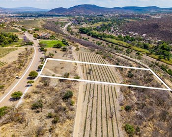 LOTE MERLOT – San Miguel de Allende real estate photo 2