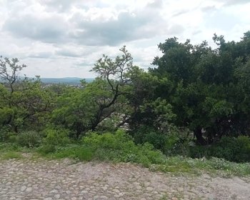 Lote Espiga – San Miguel de Allende real estate photo 2