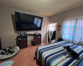 Casa Tatanacho - FIXER UPPER – San Miguel de Allende real estate photo 4