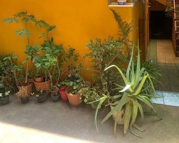 Casa Juan Aldama-Fixer Upper – San Miguel de Allende real estate photo 4