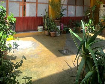 Casa Juan Aldama-Fixer Upper – San Miguel de Allende real estate photo 3