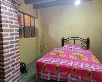 Casa Juan Aldama-Fixer Upper – San Miguel de Allende real estate photo 3