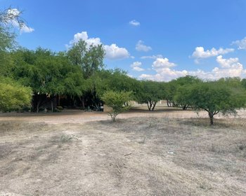 Lote Los Labradores – San Miguel de Allende real estate photo 1