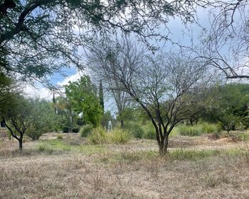 Lote Los Labradores – San Miguel de Allende real estate photo 3