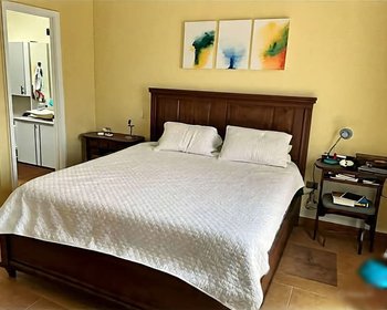  – San Miguel de Allende real estate photo 3