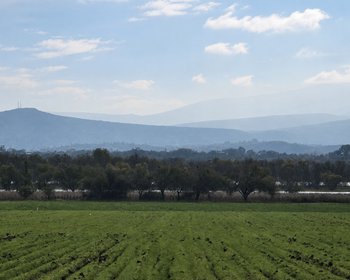 Ranchito Miguel Lot 1 – San Miguel de Allende real estate photo 2
