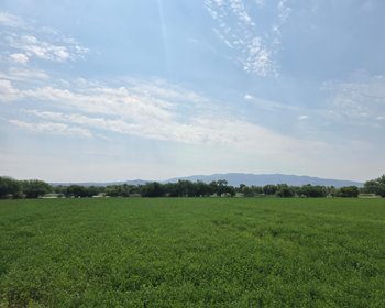 Ranchito Miguel Lot 1 – San Miguel de Allende real estate photo 4