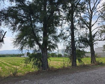 Ranchito Miguel Lot 1 – San Miguel de Allende real estate photo 1