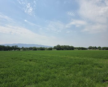 Ranchito Miguel Lot 2 – San Miguel de Allende real estate photo 1