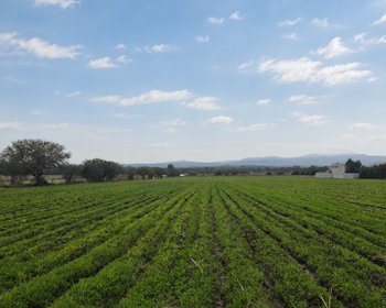 Ranchito Miguel Lot 2 – San Miguel de Allende real estate photo 2
