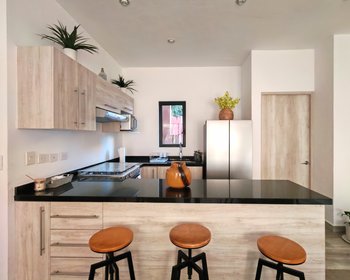 Elegancia y confort en La Serena – Departamento en San Miguel de Allende – San Miguel de Allende real estate photo 3