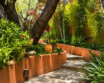 Casa Gracie – San Miguel de Allende real estate photo 2