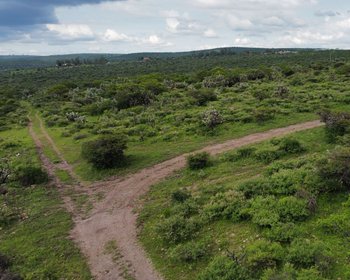 Lotes campestres a 3 km del centro. – San Miguel de Allende real estate photo 4