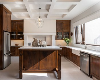 Casa Paulena – San Miguel de Allende real estate photo 4