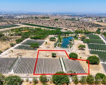 Viñedos Patria Lote 6 – San Miguel de Allende real estate photo 2