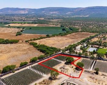 Viñedos Patria Lote 5 – San Miguel de Allende real estate photo 3