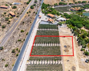 Viñedos Patria Lote 7 – San Miguel de Allende real estate photo 4