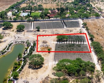 Viñedos Patria Lote 7 – San Miguel de Allende real estate photo 1