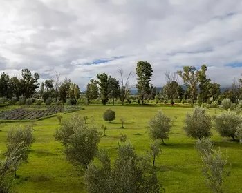 Lote Santa Lucia – San Miguel de Allende real estate photo 3