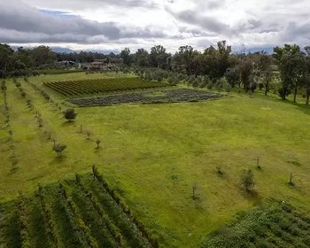 Lote Santa Lucia – San Miguel de Allende real estate photo 2
