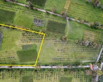 Lote Santa Lucia – San Miguel de Allende real estate photo 4