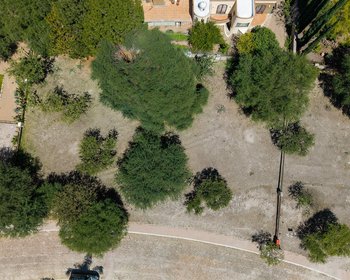Lote El Bosquecito | Los Labradores – San Miguel de Allende real estate photo 2