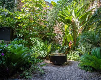 CASA CLARA – San Miguel de Allende real estate photo 3