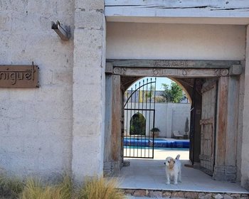 Terreno Shanti – San Miguel de Allende real estate photo 2