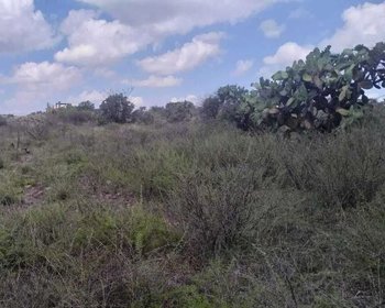 Terreno Shanti – San Miguel de Allende real estate photo 3