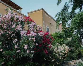 El Milagro Rooftop Apartment – San Miguel de Allende real estate photo 1
