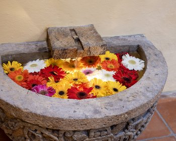 La Purísima | Exclusiva Vida en el Centro con Alberca y Diseño Sofisticado. – San Miguel de Allende real estate photo 2