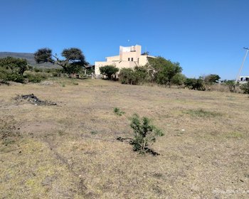 LOTE LA PURISIMA – San Miguel de Allende real estate photo 4