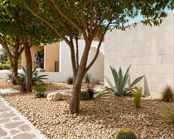 La Losilla Campanas – San Miguel de Allende real estate photo 3