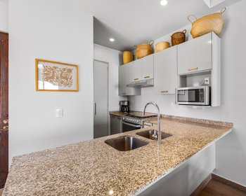 Casa Olivo Disponible: Junio 2026 – San Miguel de Allende real estate photo 4