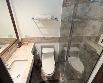 Casa Indio Triste Disponible: Junio 2026 a Noviembre 2026 – San Miguel de Allende real estate photo 4