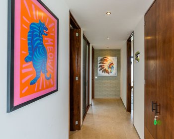 Casa Chewbacca – San Miguel de Allende real estate photo 3