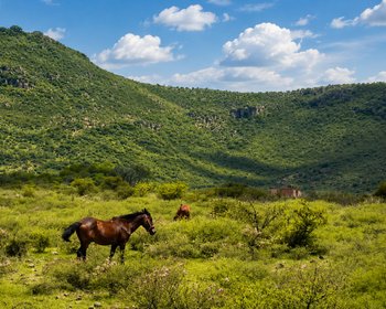 Legacy Land in Cabras – San Miguel de Allende real estate photo 2