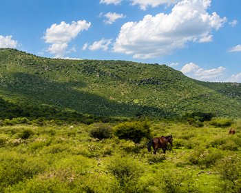 Legacy Land in Cabras – San Miguel de Allende real estate photo 3